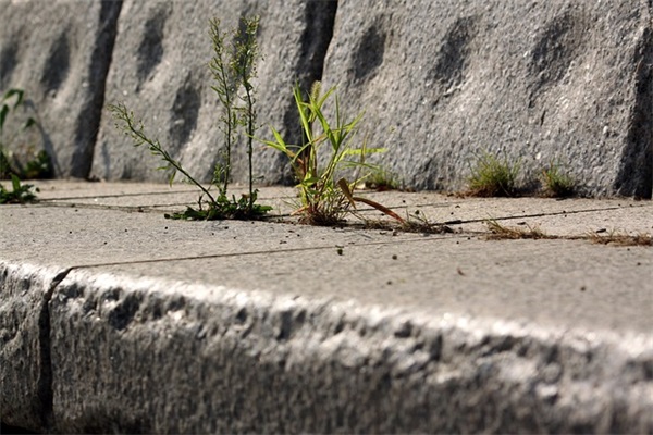 莫言名言名句85句