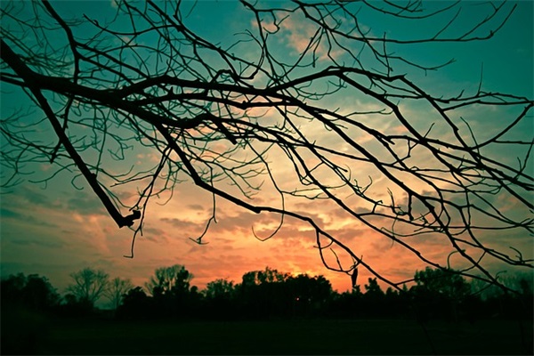 名人名言大全小学89句