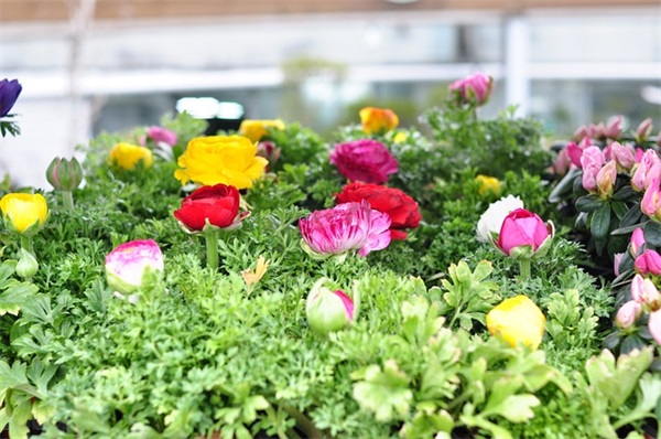 名人名言大全摘抄119句