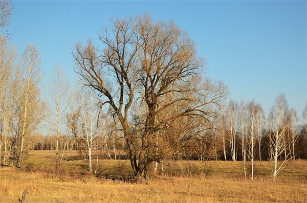 勉励自己的英语名言