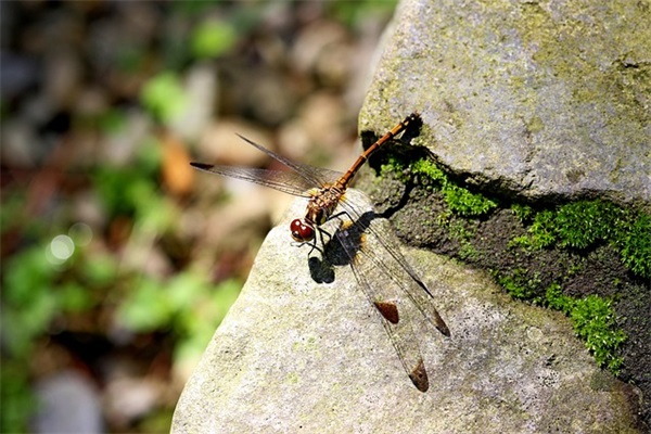 人生之路的名言120句