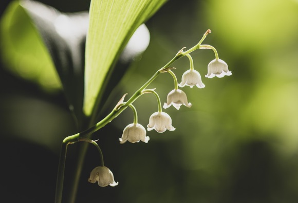 甜蜜可爱的闺蜜网名(177个)