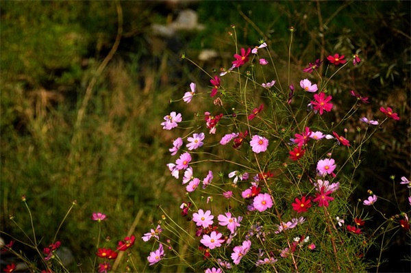 德国哲学家尼采名言100句
