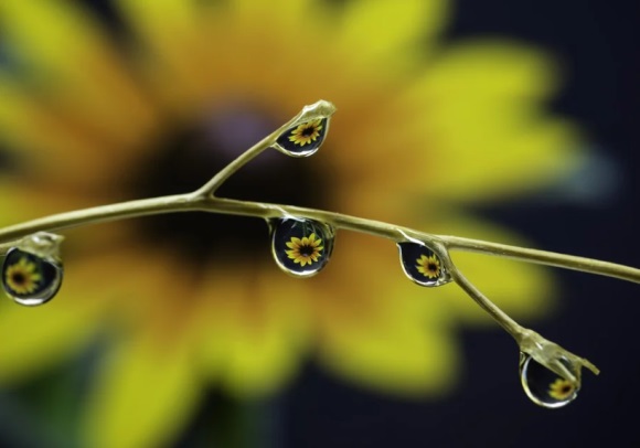 可爱的单身网名(共312个)