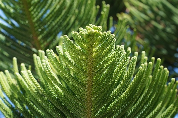 写时间的名言警句94句