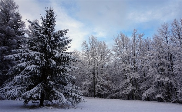 不怕困难挫折的名言100句