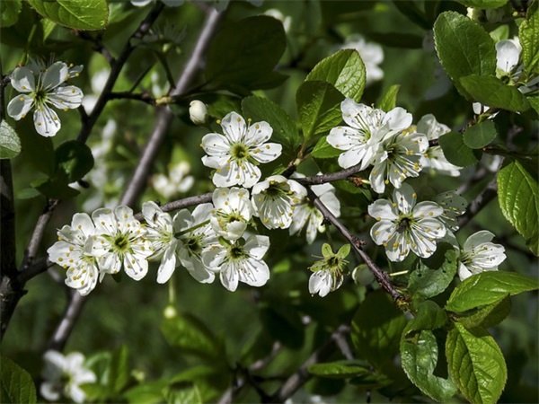 有关灵魂的名言114句