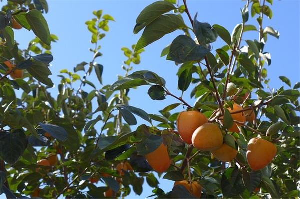 时间名言励志句子