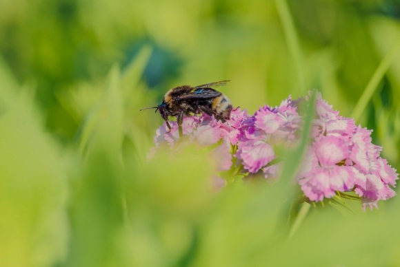 好听的可爱的微信名称女生(305个)