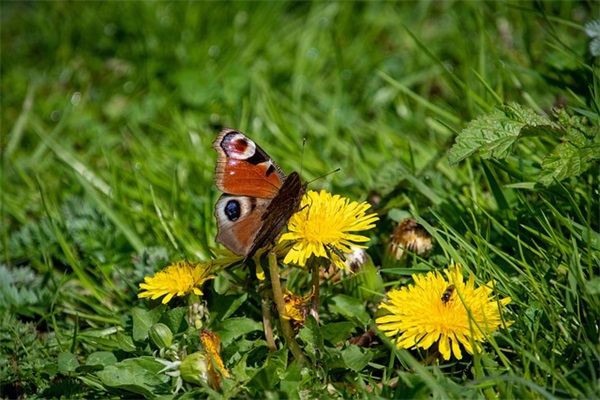 珍惜爱情的名言120句