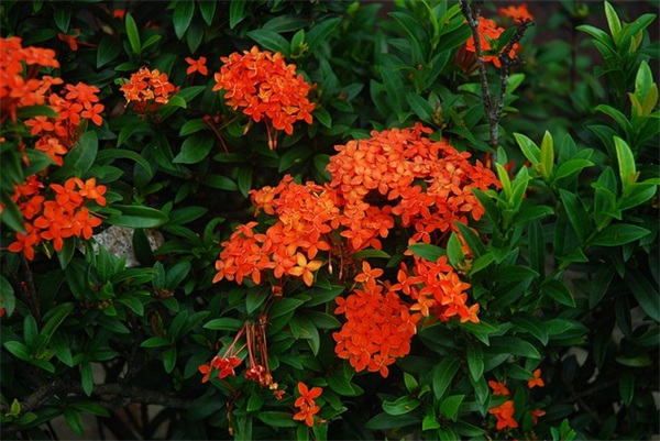 人生启迪的名言120句