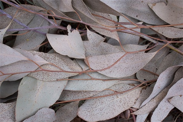 伤感不失优雅的网名(共899个)