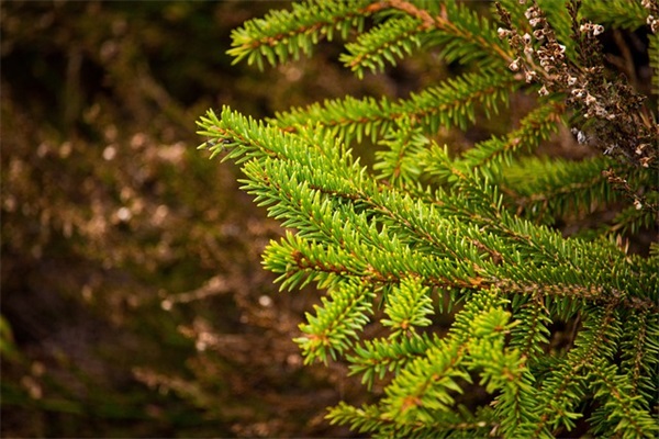 带来好运气的网名字(共867个)