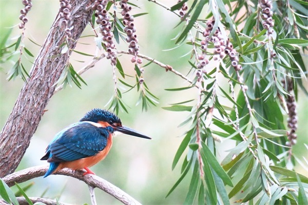 2025最新女网名(优选878个)