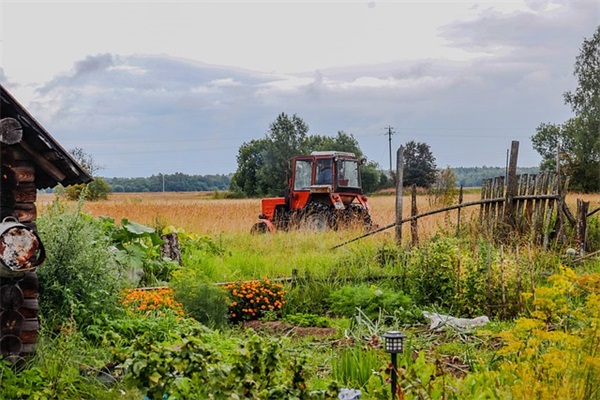2025年男生微信网名(精选856个)