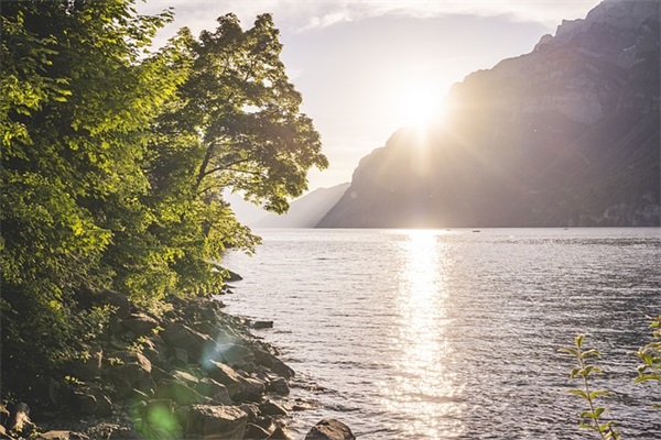 王者荣耀名字男生简单气质(共865个)