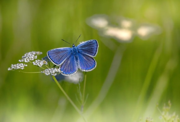 最新微信网名经典女生可爱(311个)