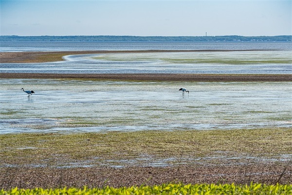 成熟稳重的qq网名(精选843个)