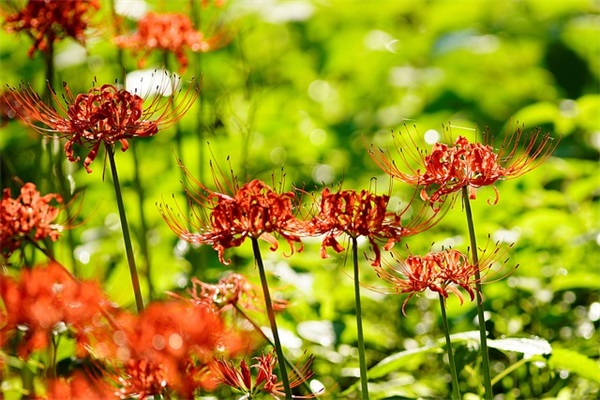 2025年好听的男生网名(842个)