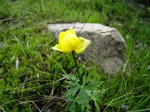 最新的网名昵称女(837个)