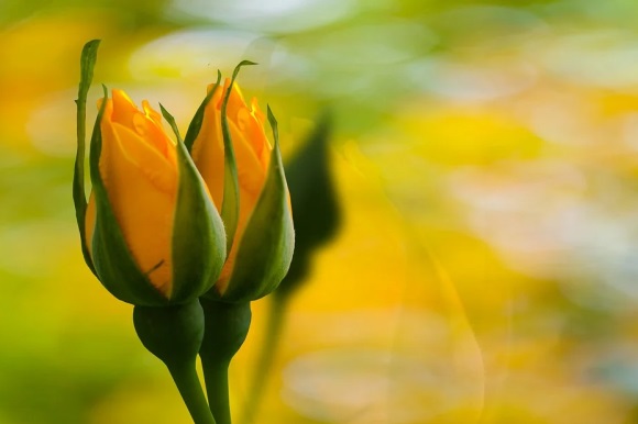 可爱又清新的网名女生(共284个)