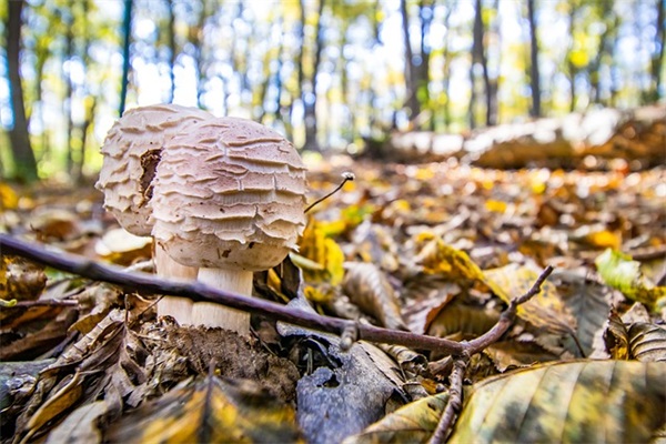 取100分好名免费（精选名字1104个）