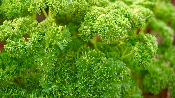 好看的网络游戏名字(精选800个)