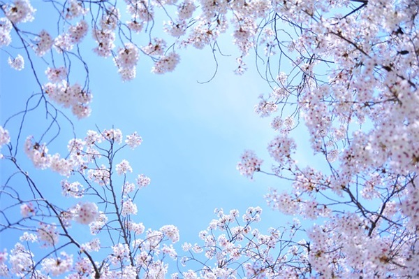 网名大全二字网名(共1068个)