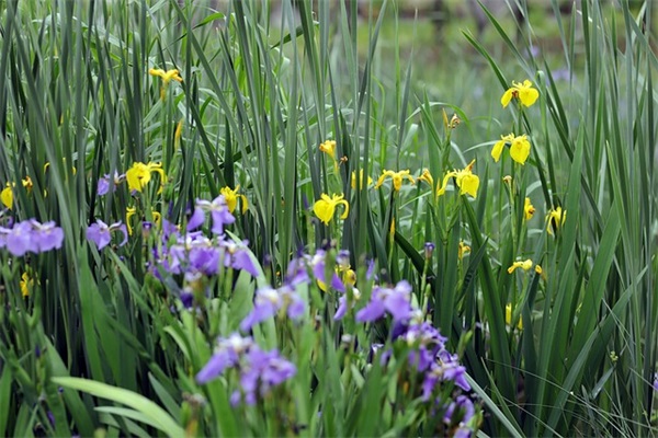 唯美的五个字网名(共716个)