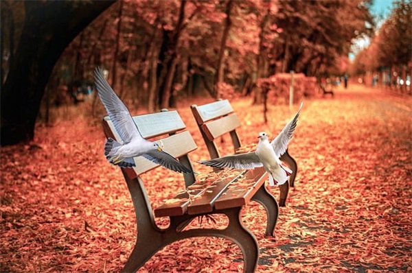 qq男生伤感昵称大全4个字(精选790个)