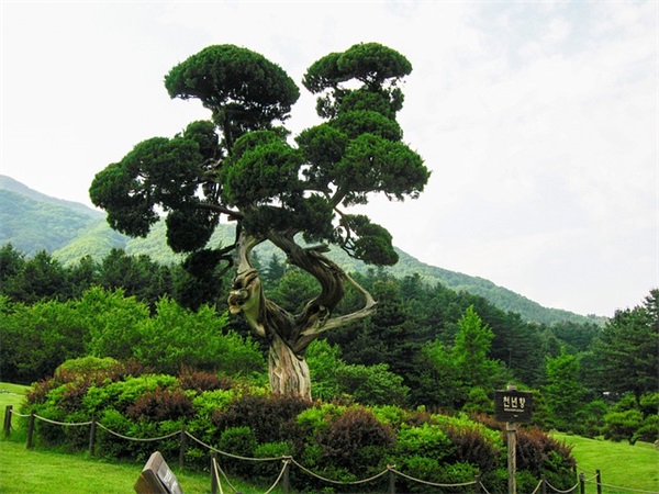 温暖好听的微信名字大全(精选793个)