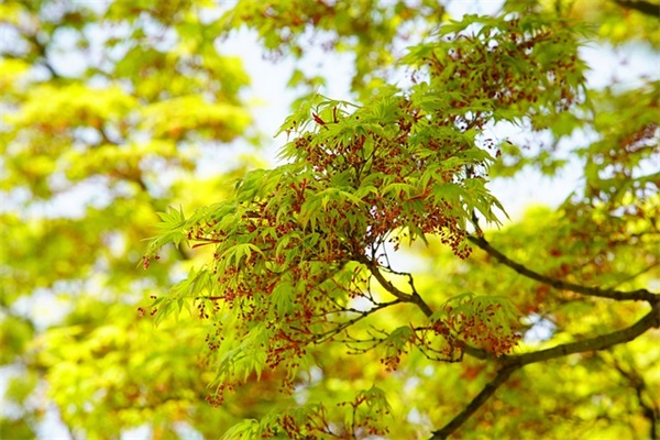 2025年男生网名(精选788个)