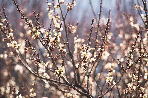 4字搞笑游戏昵称大全(优选771个)