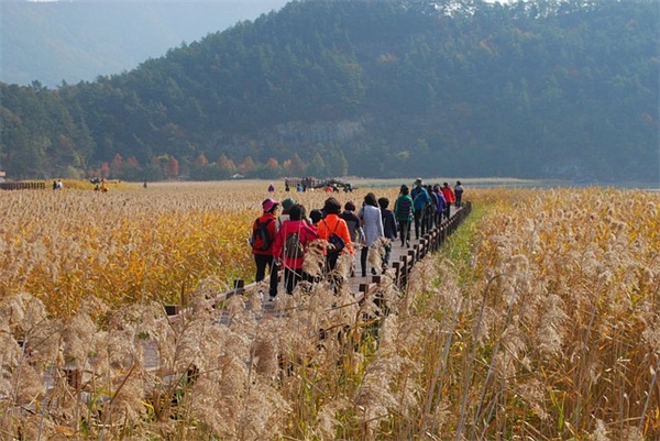 清新好听简约四字网名(优选765个)