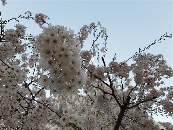 男生性暗示的网名(共732个)