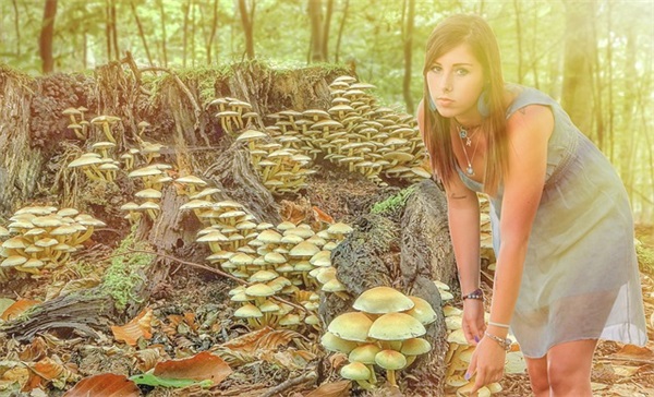 2025年微信网名女(精选744个)