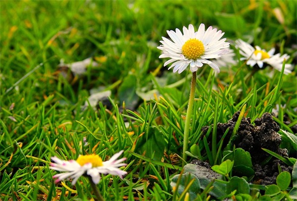 霸气的抖音网名(精选754个)