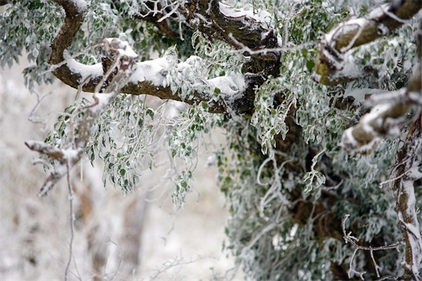高雅有内涵的微信名字大全(742个)