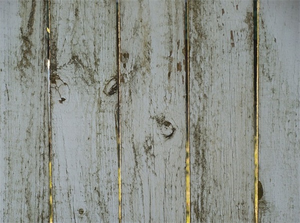 100个好听到爆的乳名属龙（汇集987个）