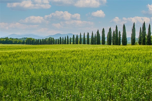 一生最旺男孩小名（简洁984个）