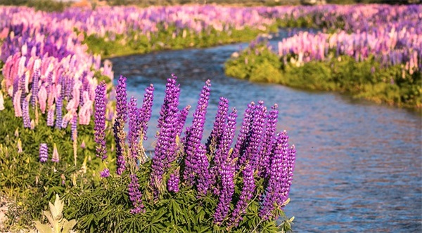 六个字以内搞笑的昵称(优选585个)