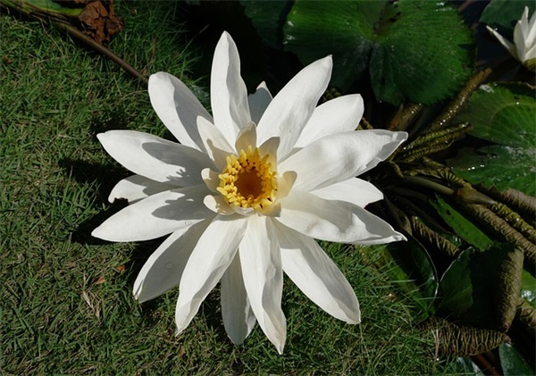 最吸引人的抖音名字(741个)