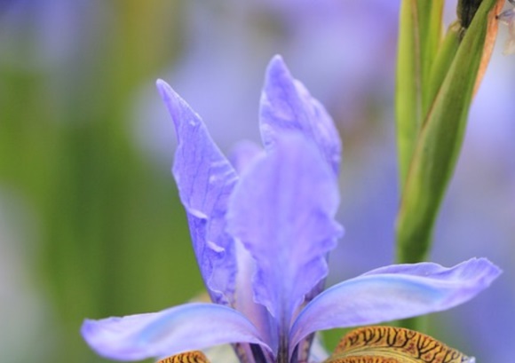 适合女孩纸的可爱网名(优选300个)