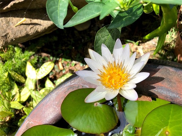 王者荣耀两字id高冷(946个)