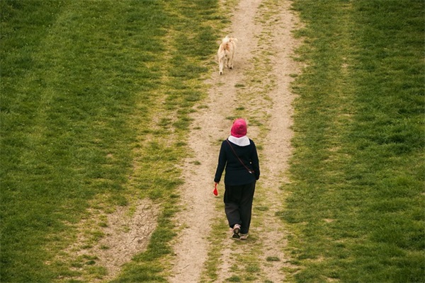 简单随性的微信网名(精选720个)