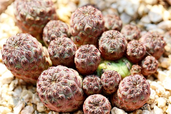 简单而不失优雅,低调而不失内涵的微信名(优选703个)