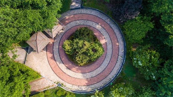 最新成熟气质女生网名大全(共705个)