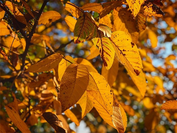 唯美浪漫的微信网名大全(698个)