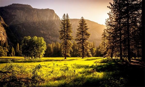 2025好听的青春网名(共697个)