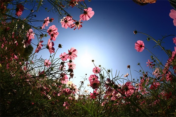 唯美有感觉的网名(681个)